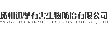 扬州灭鼠/蟑螂/蚊子/苍蝇公司-扬州迅掣除四害灭虫