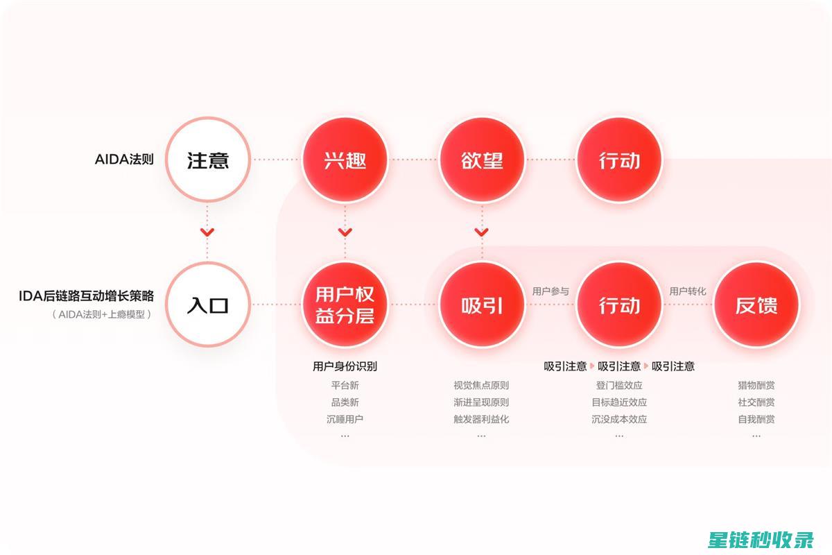 深度解读网站收录优化：从新手到高手的全面指南 (深度解读网站推荐)