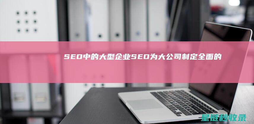 SEO中的大型企业SEO为大公司制定全面的