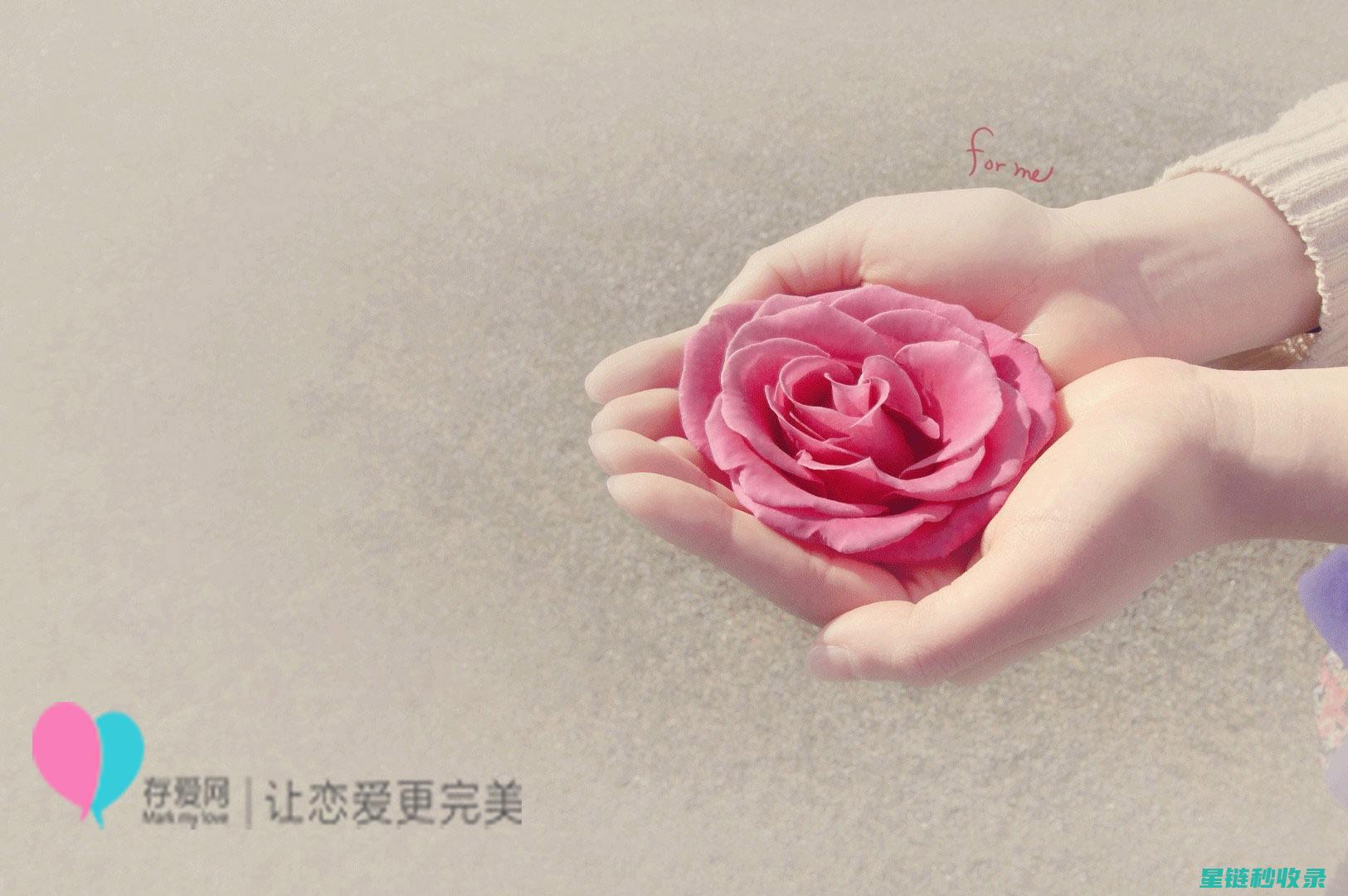 如何优雅地切芒果：一刀搞定，轻松去皮去核！ (如何优雅地切蛋糕?)