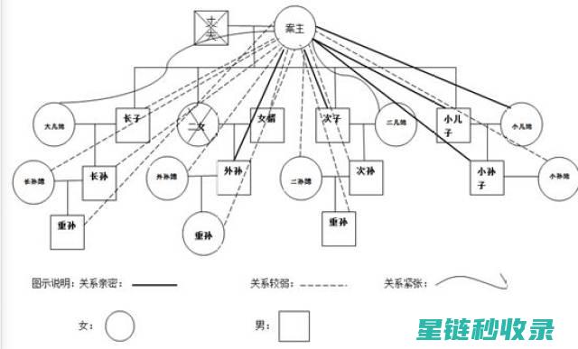 《构建家庭档案：为后代留下宝贵的精神财富》 (家庭构建怎么写)
