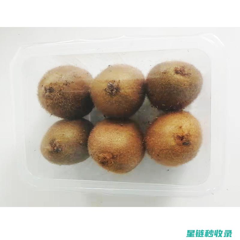 探索蔬菜保鲜新方法：让新鲜蔬菜持久保持美味与营养 (探索蔬菜保鲜的方法)