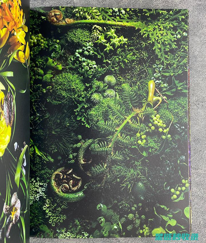 探索各类植物驱虫方法，打造绿色无污染的农业环境 (探索各类植物的特点)
