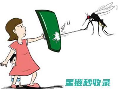夏日防蚊叮妙招：被蚊虫叮咬后的止痒秘方 (夏日防蚊虫小诀窍)