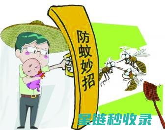 夏日防蚊妙招：被蚊虫叮咬后的止痒方法大揭秘 (夏日防蚊妙招视频)