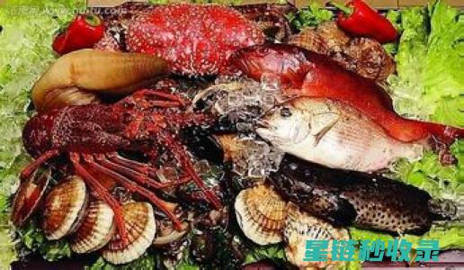 海鲜去腥秘籍大公开：简单几步让你的海鲜不再腥气四溢 (海鲜去腥秘籍大全)
