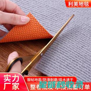 地毯防滑秘籍：选择与安装技巧大揭秘 (地毯防滑秘籍大全)