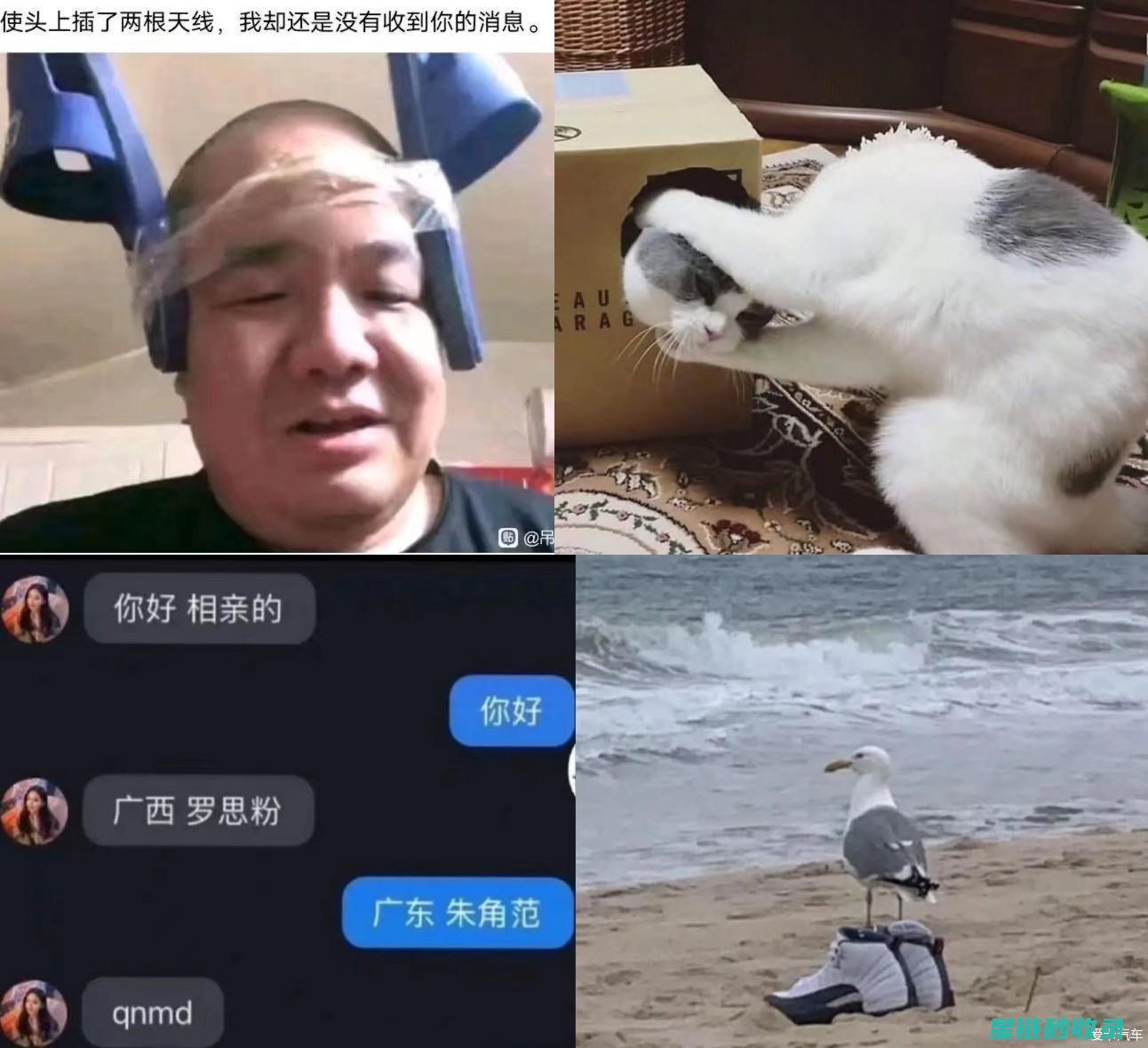 省钱妙招大揭秘：生活成本削减的实用策略 (省钱妙招大揭秘)