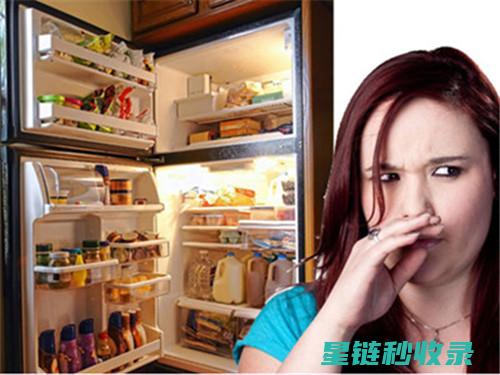 冰箱除异味大揭秘：DIY除味剂配方推荐 (冰箱除异味大还是小)
