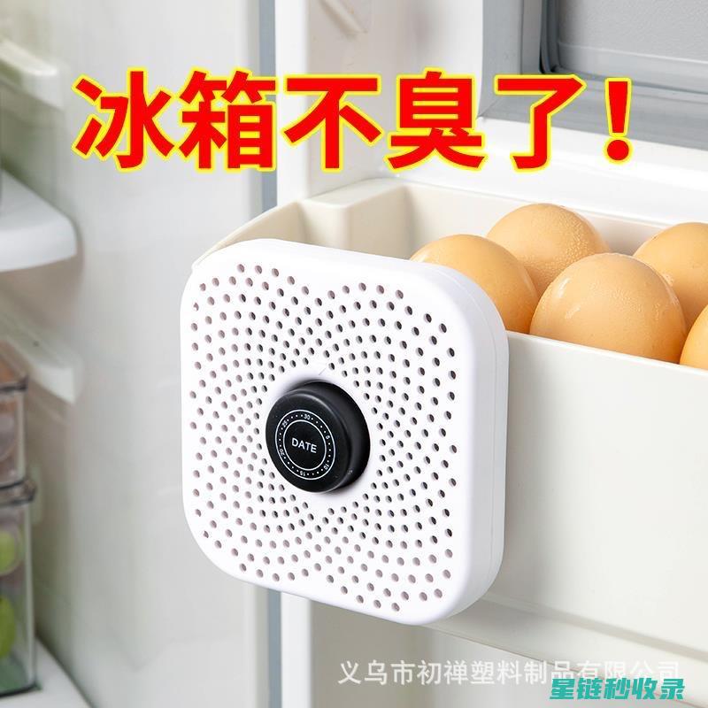 冰箱除异味大揭秘：除味剂的种类与效果比较 (冰箱除异味大还是小)