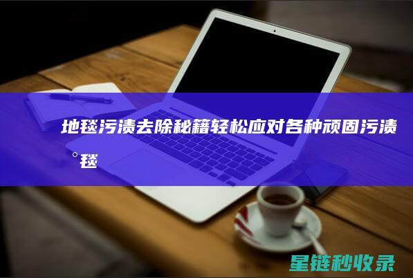 地毯污渍去除秘籍：轻松应对各种顽固污渍 (地毯污渍去除小妙招)