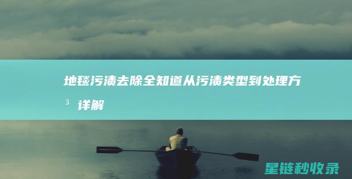 地毯污渍去除全知道：从污渍类型到处理方法详解 (地毯污渍去除小妙招)