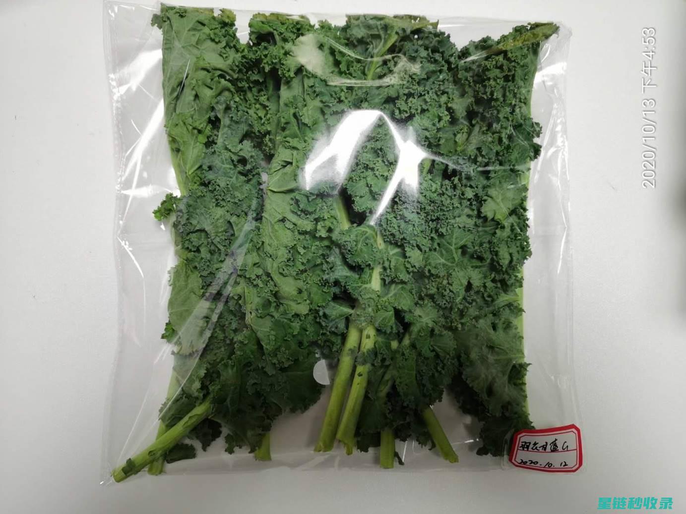 蔬菜保鲜延长术：让新鲜更持久 (蔬菜保鲜延长保鲜时间)