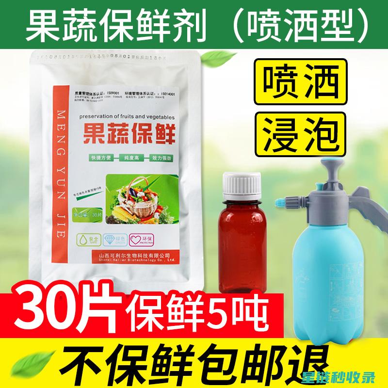 蔬菜保鲜延长：延长新鲜时间的关键步骤 (蔬菜保鲜延长保质期)