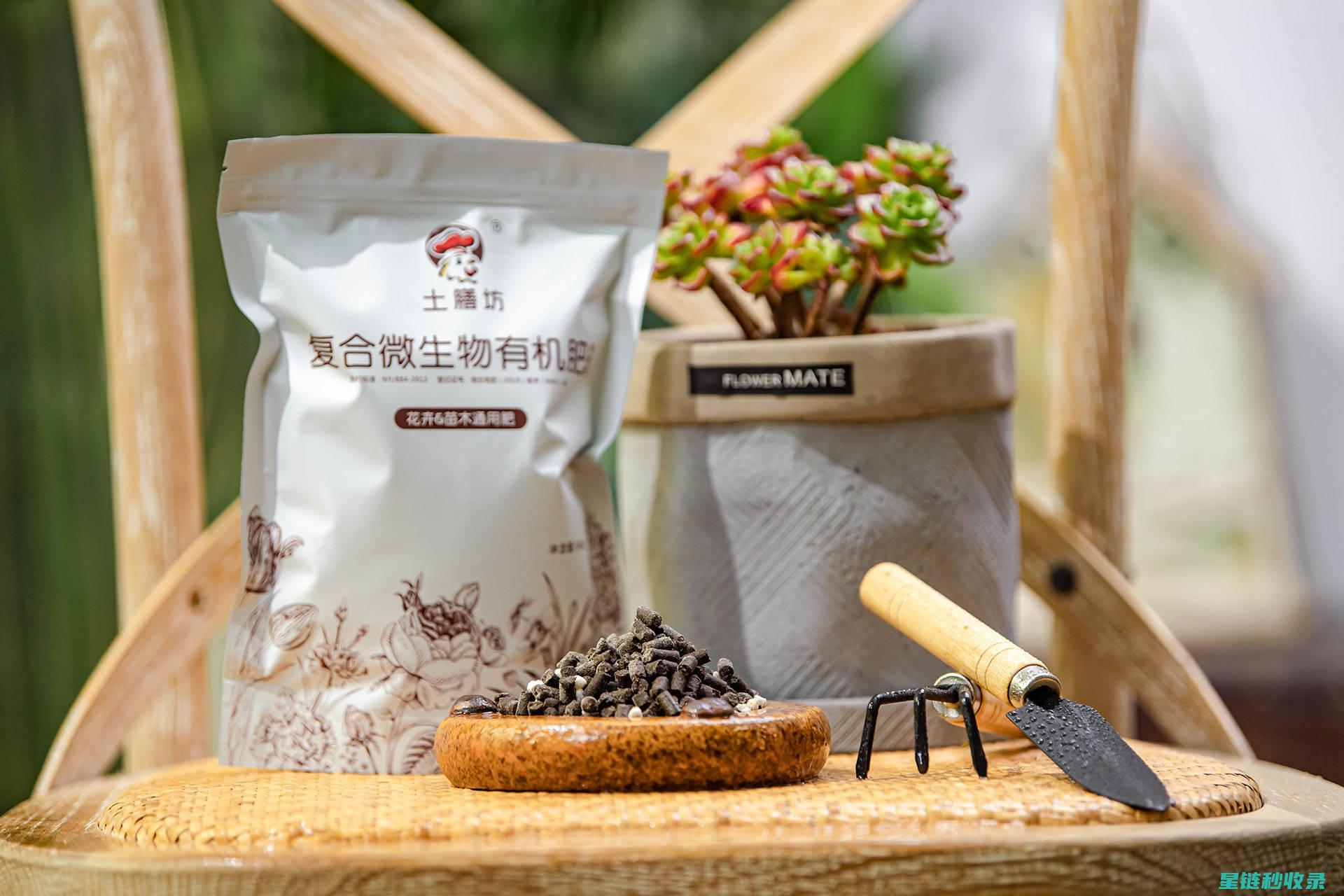 延长鲜花寿命的简单方法：让你的花束更持久 (延长鲜花寿命的7种方法)