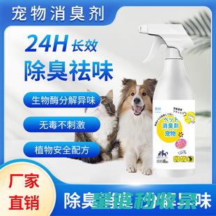 宠物异味去除：这些方法能让你的宠物远离异味困扰 (宠物异味去除剂)