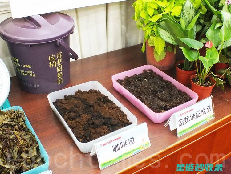 咖啡渣在农业中的潜在价值 (咖啡渣在农业上的用途)