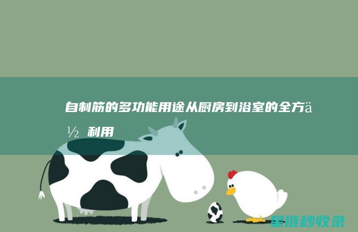 自制筋的多功能用途：从厨房到浴室的全方位利用 (自制拉筋神器)