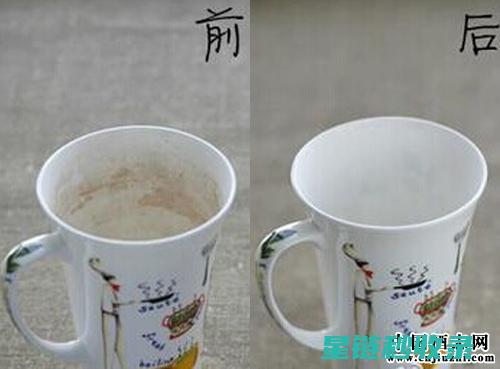 茶渍去除秘籍：让衣物重获新生的简单步骤 (茶渍 去除)