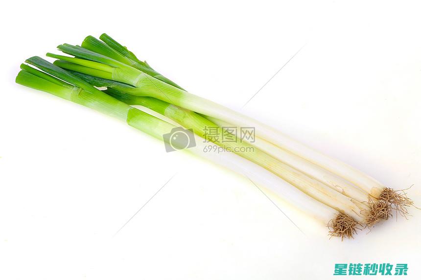 大葱不烂的秘诀！教你正确保存大葱的方法 (大葱不烂的秘诀是什么)