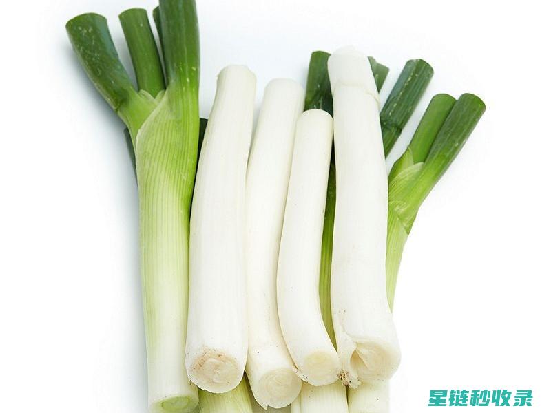 大葱储存全解析：教你如何让大葱保持最佳状态 (大葱储存全解图)