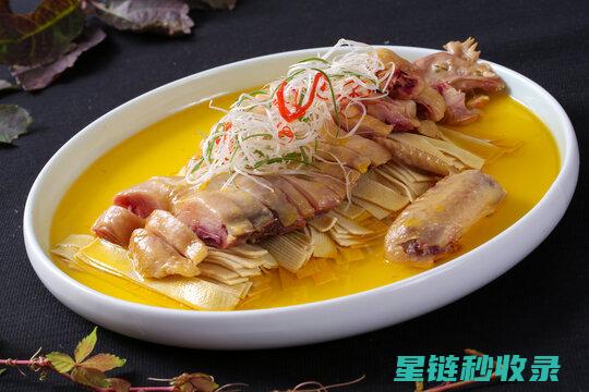 百叶窗除尘指南：保持家居环境整洁的秘密武器 (百叶窗除尘指标有哪些)
