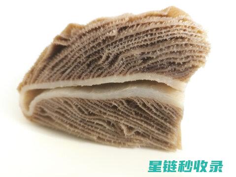百叶窗除尘：季节性维护的重要性 (百叶窗除尘器)