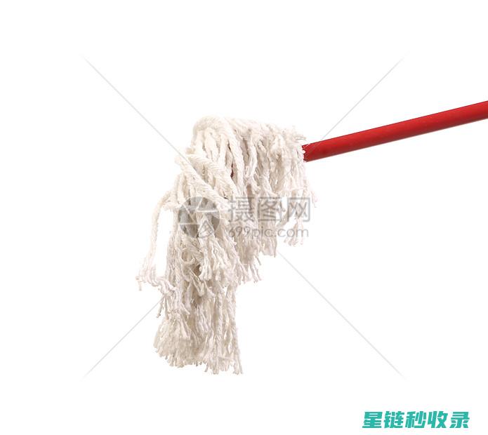 拖把除味妙招大揭秘：轻松去除异味 (拖把除味妙招有哪些)