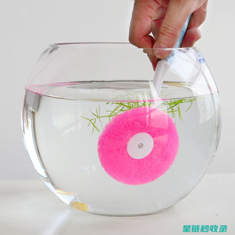 鱼缸清洁技巧分享：让你的水族箱焕然一新 (鱼缸清洁技巧大全)