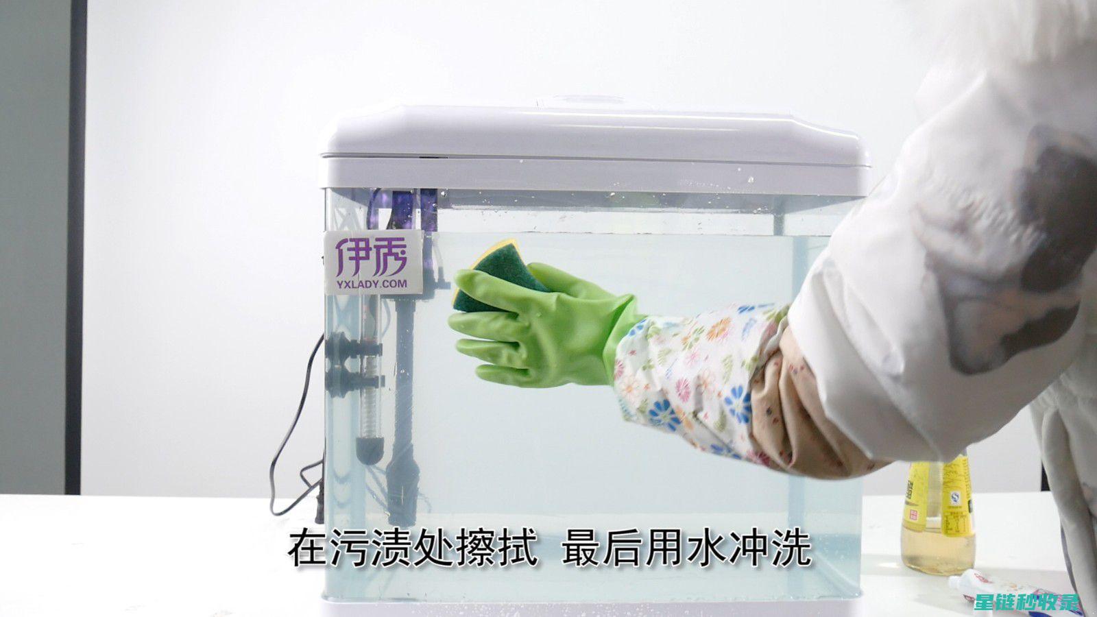 鱼缸玻璃清洁：让视线更清晰的秘诀 (鱼缸玻璃清洁器)
